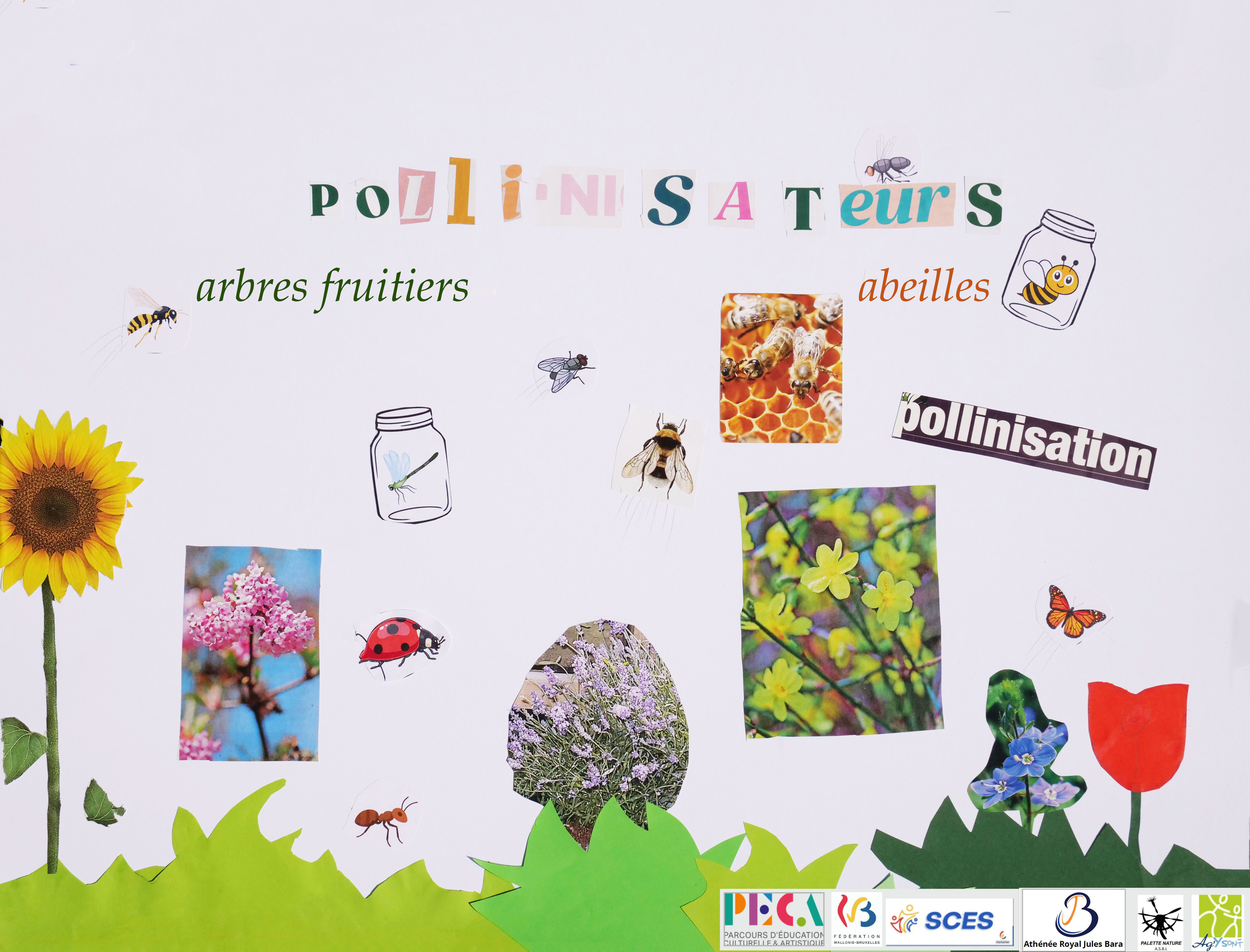 Les Pollinisateurs — photo réalisée