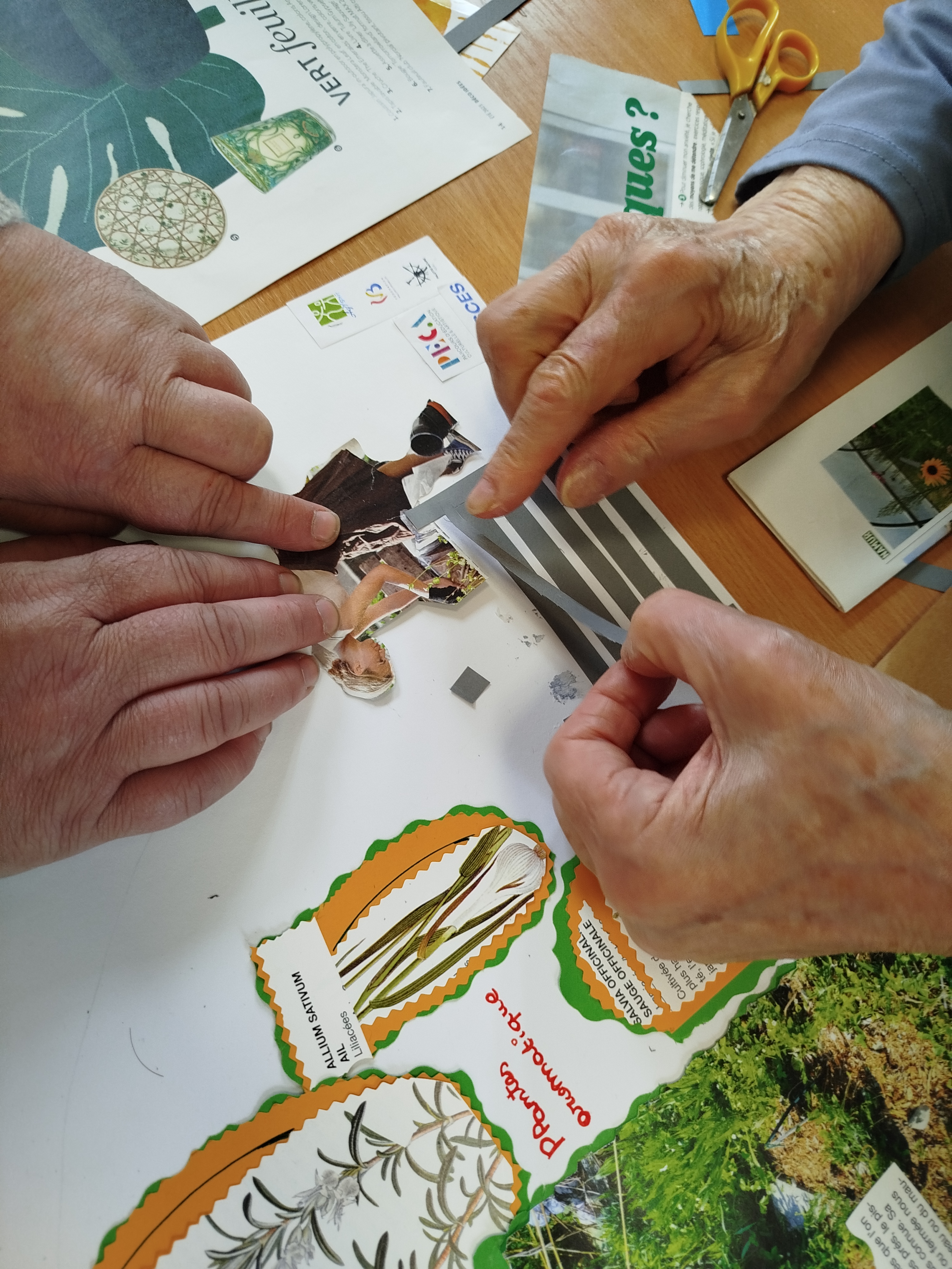 Sortie au jardin · 11 mai 2026