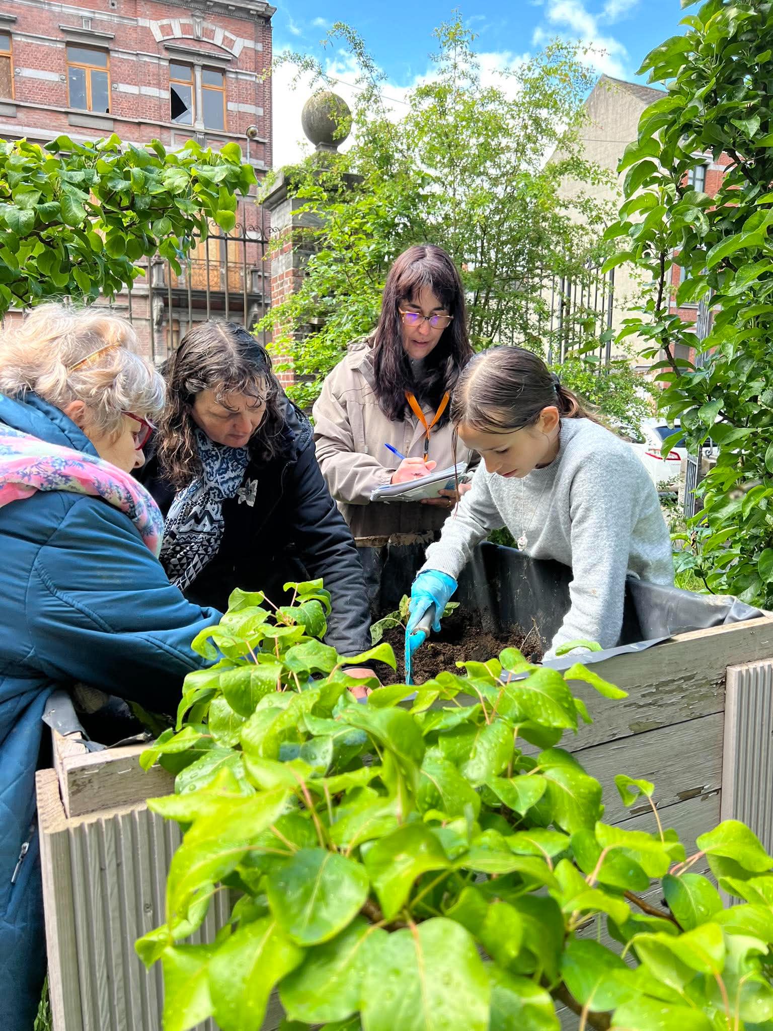 Bacs potagers · 18 mai 2026